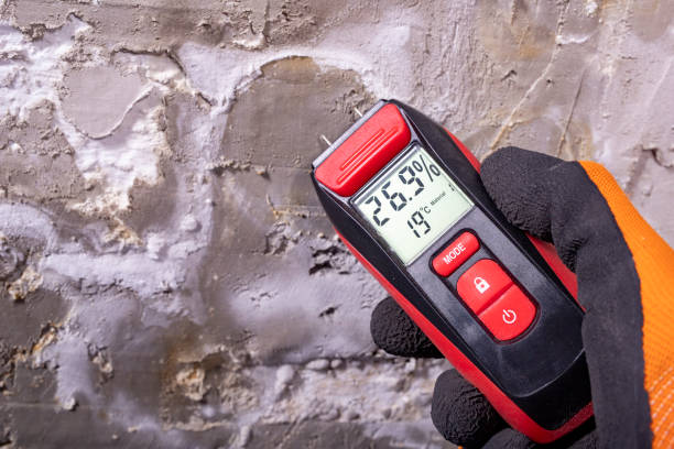 Professional Mold Remediation in Barclay, NJ