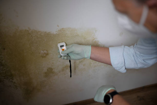 Best Mold Remediation for Specific Building Types in Barclay, NJ